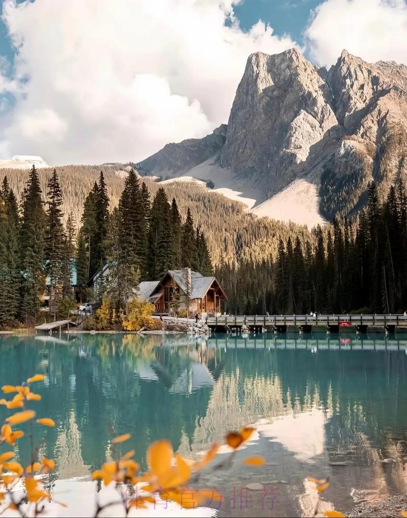 2026世界杯美加墨直播平台